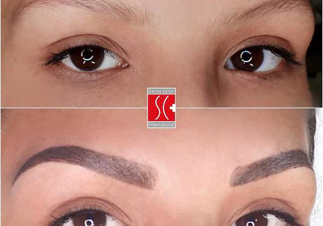 Powder Brows or Ombre